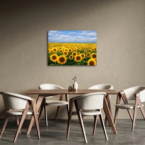 Tablou cu lan de floarea soarelui (70x50 cm)