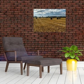 Tablou pe sticlă cu câmp recoltat (70x50 cm)