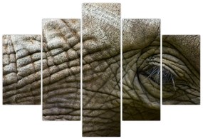 Tablou - Prim-planul ochiului de elefant vechi (150x105 cm)