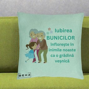 Cadou pentru Bunici - Perna Personalizata Bunicii Iubirea Infloreste cu Nepoata Teal, 40x40 cm, Verde Menta, Husa Detasabila, Perna Inclusa, BEKZ®