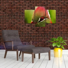 Tablou cu pasărea colorată (90x60 cm)