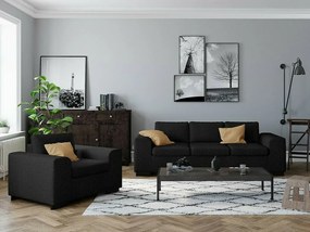 Set mobilier tapițat Scandinavian Choice 225Negru, Tapiterie, Picioare: Plastic