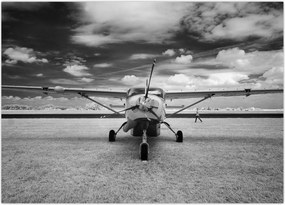 Tablou - Avion alb-negru și alb-negru (70x50 cm)