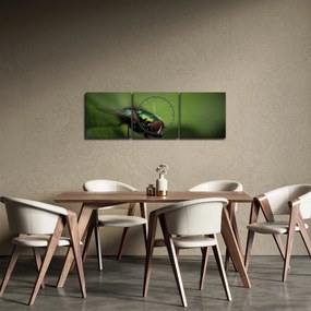 Tablou - Musca (cu ceas) (90x30 cm)