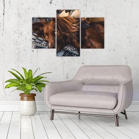 Tablou cu câini dormind (90x60 cm)