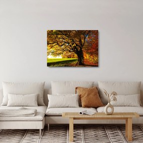 Tablou pe sticlă cu copac toamna (70x50 cm)