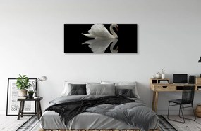 Tablouri canvas Swan în noapte