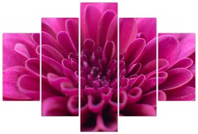Tablou cu floare (150x105 cm)