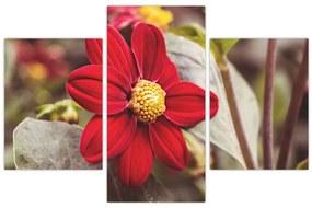 Tablou cu floare (90x60 cm)