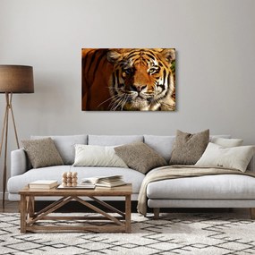 Tablou cu tigrul (90x60 cm)