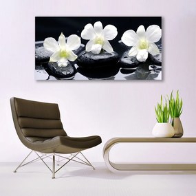 Tablou pe panza canvas Pietre florale flori alb negru