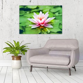 Tablou - Nuferi pe apă (90x60 cm)