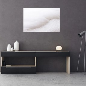 Tablou - Pană albă (90x60 cm)