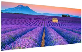 Tablou - Câmp de levănțica (120x50 cm)