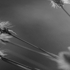 Tablou - Iarbă moale bej N⁰2 (120x50 cm)