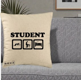 Perna Decorativa Student Life, 40x40 cm, Bej, Husa Detasabila, Perna Inclusa, BEKZ®