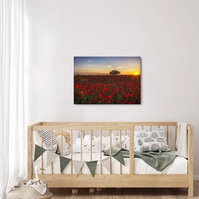 Tablou cu lunca și macii (70x50 cm)