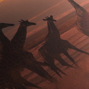 Tablou - Girafe în savana africană (90x60 cm)