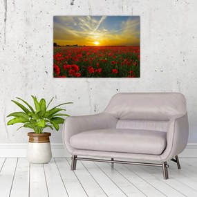 Tablou pe sticlă cu câmp cu maci (70x50 cm)