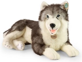 Rappa Câine husky de pluș culcat 60 cm