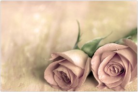 Tablou - Trandafiri fine (90x60 cm)