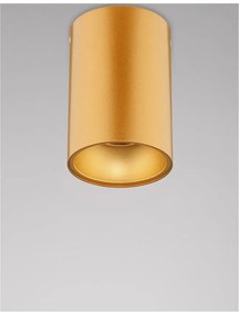 Spot aplicat tavan / plafon design modern minimalist NIDO auriu
