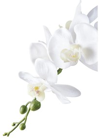 Orchidea műnövény, zöld/fehér 49 cm