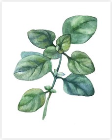 Poster 40x50 cm Leaf