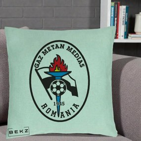 Perna Personalizata Gaz Metan Medias 1945 Fotbal, 40x40 cm, Verde Menta, Husa Detasabila, Perna Inclusa, BEKZ®