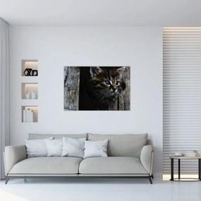 Tablou cu pisicuța (90x60 cm)