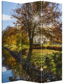 Paravan - Canal de apă (126x170 cm)
