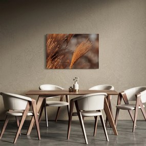 Tablou - Cortaderie (90x60 cm)