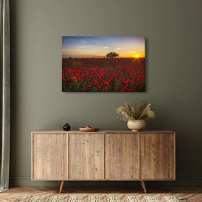 Tablou cu lunca și macii (90x60 cm)