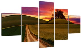 Tablou cu câmp și cerul colorat (125x70 cm), în 40 de alte dimensiuni noi