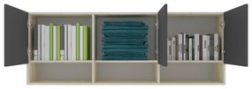 Dulap suspendat Malmo, 3 Usi, Stejar Alb/Antracit, 164 x 27 x 60 cm
