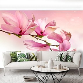 Fototapet Magnolie