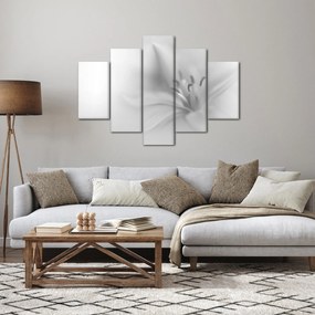 Tablou - Crin delicat (150x105 cm)