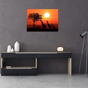 Tablou pe sticlă cu girafe în apus de soare (70x50 cm)
