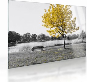 Tablou pe sticlă - relaxare în parc (70x50 cm)