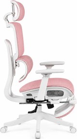 Scaun Ergonomic Premium Mesh cu Suport pentru Picioare, Reclinare 145°, Tetieră Reglabilă, Cotiere 3D, Suport Lombar Elastic și Șezut cu adâncime reglabilă, Roz