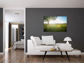 Tablou cu lunca în vară (90x60 cm)