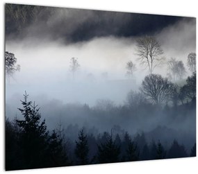 Tablou pe sticlă cu ceță deasupra pădurii (70x50 cm)