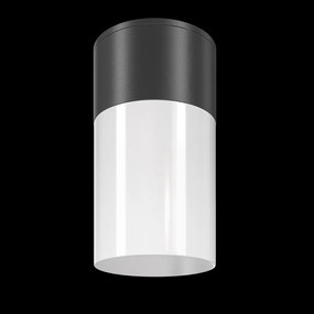Spot aplicat, plafoniera pentru iluminat exterior IP54 Willis negru