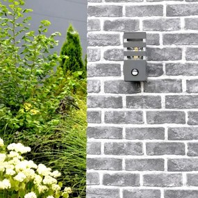 Aplica de perete exterior TEKSAS 1xE27/12W/230V IP44 antracit cu senzor