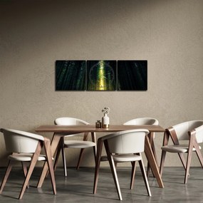 Tablou cu pădurea întunecată (cu ceas) (90x30 cm)