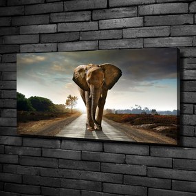 Tablou pe pânză Elefant de mers pe jos