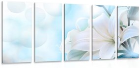 Tablou 5-piese floare albă de crin pe fundalul abstract