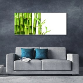 Tablou pe sticla Bamboo Floral Verde Alb