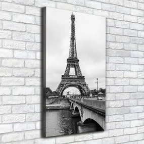 Tablou canvas Turnul Eiffel din Paris