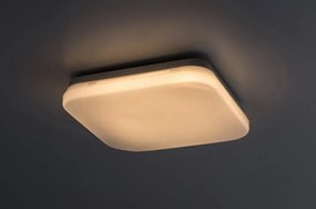 Plafoniera pentru exterior, Protectie IP44 Lowar 41cm